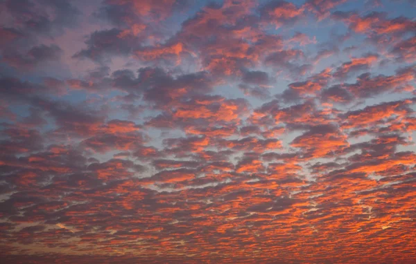 Kış gökyüzünde III