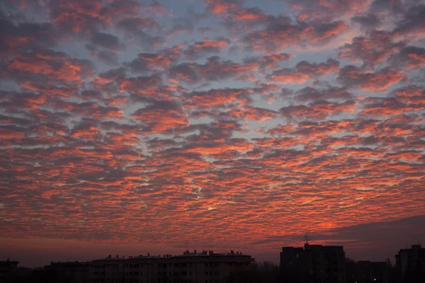 Kış gökyüzünde II