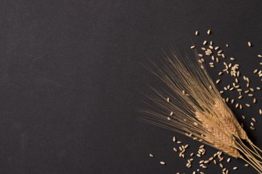 Organik buğday arka plan