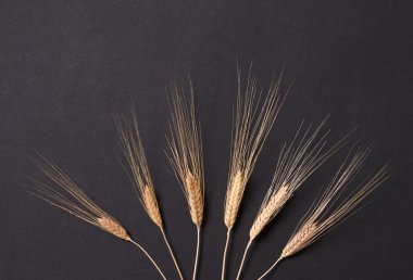 Organik buğday arka plan