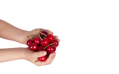 avuç beyaz kiraz