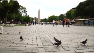 Dikilitaş ve Mavi Cami istanbul