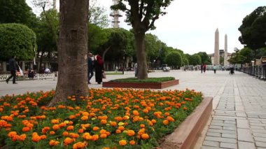 Sultanahmet Meydanı ve Mavi Cami