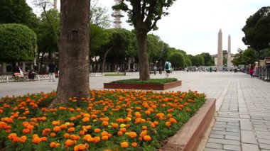 Sultanahmet Meydanı ve Mavi Cami