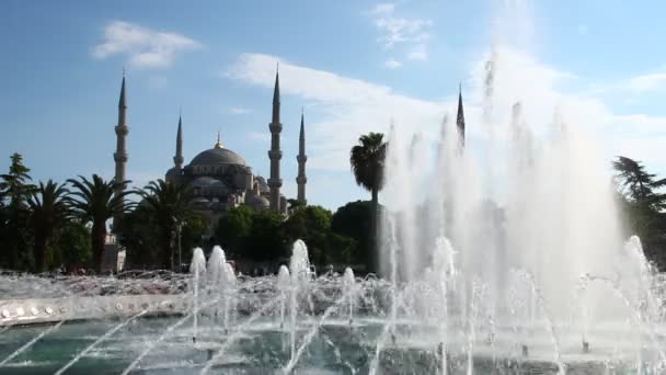 Mosquée bleue et place sultanahmet — Video