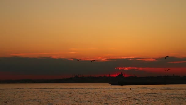 Ferry à noite no mar — Vídeo de Stock