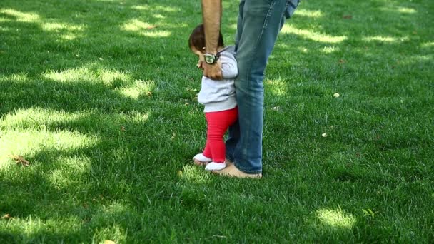 Apa, és a baba, séta a füvön — Stock videók