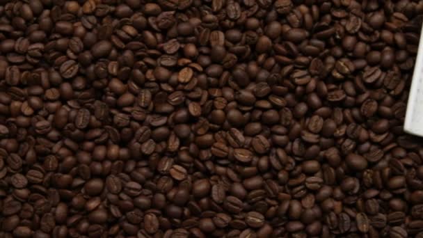 Κόκκοι καφέ και φλιτζάνι — Αρχείο Βίντεο