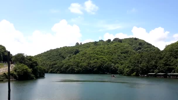 Time lapse erdő és tó — Stock videók