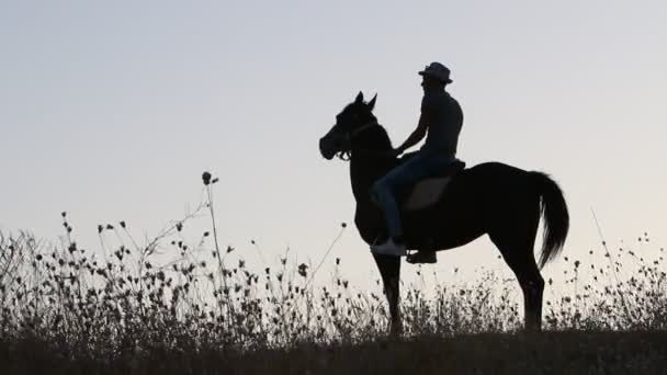 Силуэт лошади и человека — стоковое видео