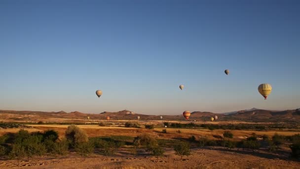 Balloon on the cappadocia — Stock Video