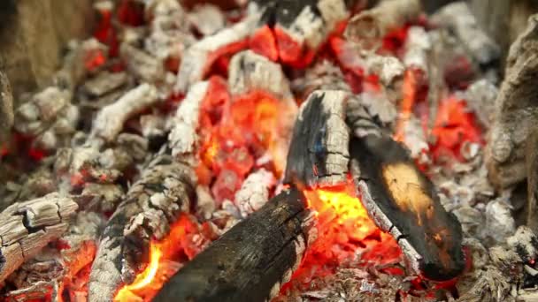 Holzverbrennung und Feuer — Stockvideo