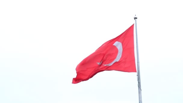 Dalgalanan Türk bayrağı — Stok video