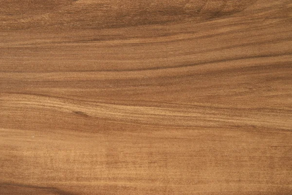 Suelos de madera natural — Foto de Stock