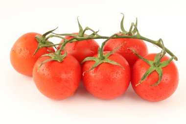 Beyaz arkaplanda domates