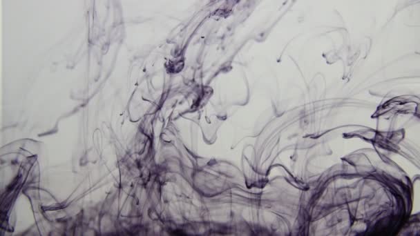 Ink in water eruption — Stock Video