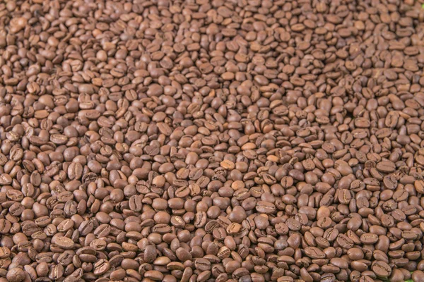 Råa kaffebönor — Stockfoto