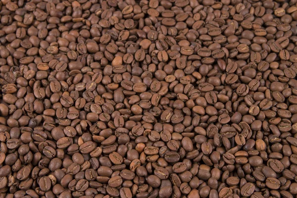 Granos de café crudos — Foto de Stock