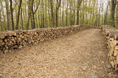 Şömine için günlükleri