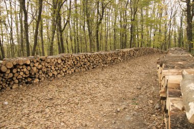 Şömine için günlükleri