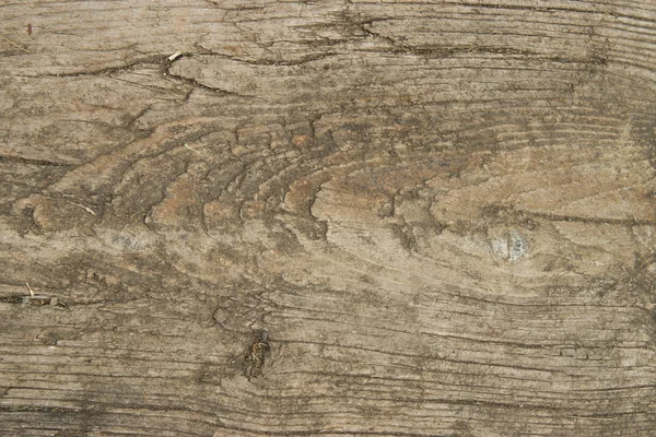 Fondo de madera texturizada — Foto de Stock