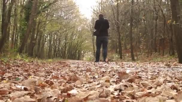 Осень в лесу — стоковое видео