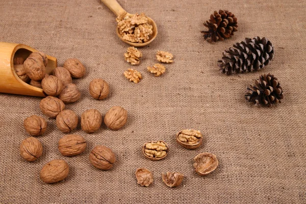 Измельченные грецкие орехи и орехи — стоковое фото