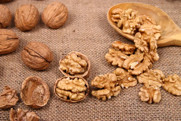 Измельченные грецкие орехи и орехи — стоковое фото