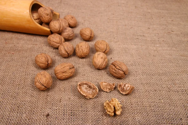 Nueces y frutos secos triturados — Foto de Stock