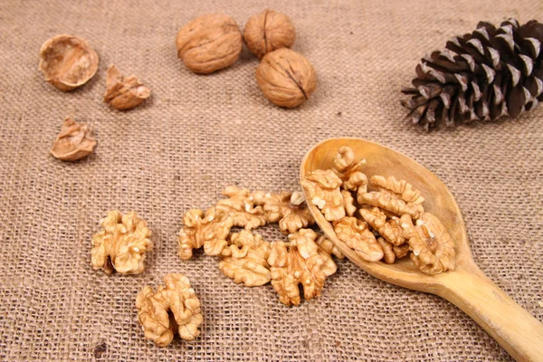 Crushed walnuts and nuts — Stock Photo, Image
