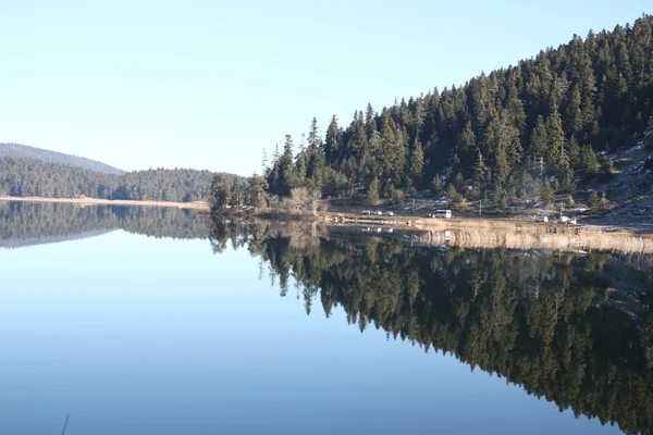 Lago tranquilo y bosque — Foto de Stock