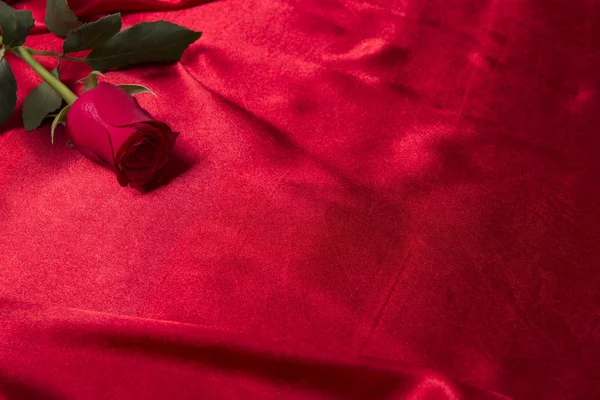 Rosa sobre seda — Foto de Stock
