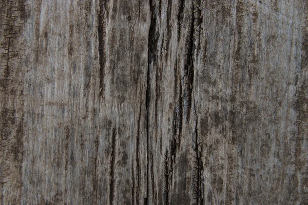 Textura de madera vacía — Foto de Stock