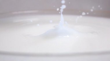 Süt düşmek elma yarısı