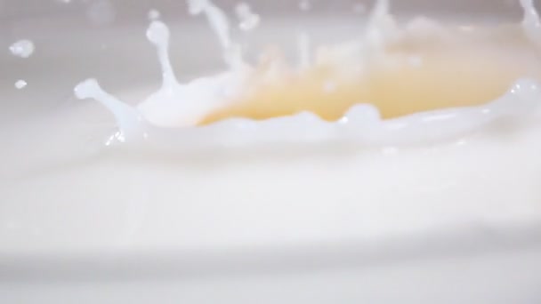 Orange droppar i mjölk — Stockvideo
