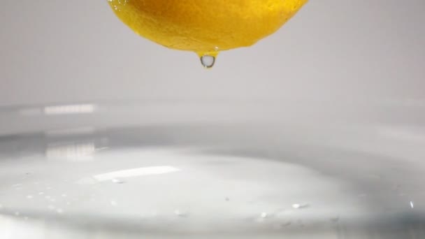 Goccia d'acqua sgocciolata dal limone — Video Stock