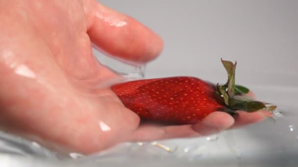 Hand pick up strawberry from water — Stock Video