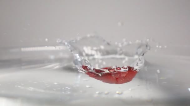 Fraise tomber dans l'eau — Video