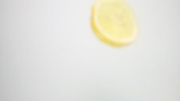 Zitronenscheibe ins Wasser — Stockvideo