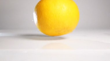 Orange grapefruit fall on white surface
