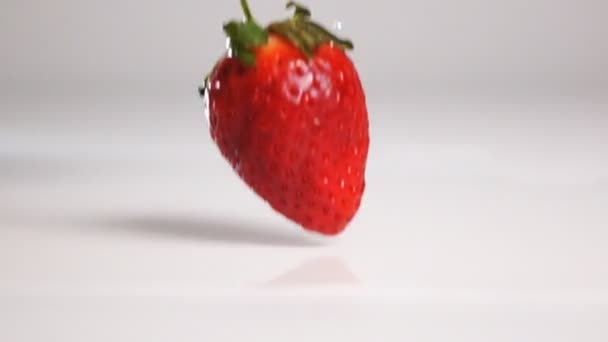 Φράουλα πτώση σε λευκή υγρή επιφάνεια — Αρχείο Βίντεο