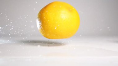 Orange grapefruit fall on white surface