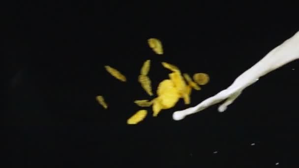 éclaboussures de lait et de flocons de maïs 