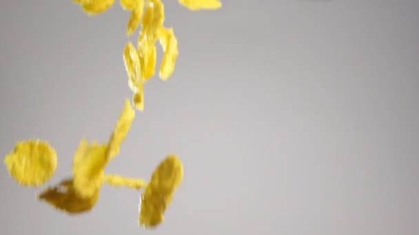 Fiocchi di mais goccia su sfondo bianco — Video Stock
