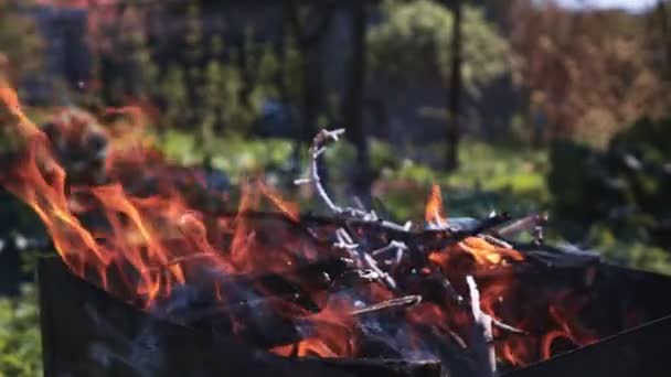 Fuego duro en Braizer — Vídeo de stock