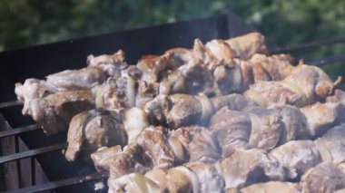 Mangal Şiş kebap yemek