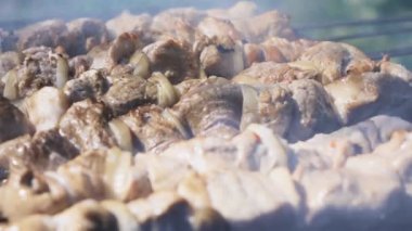 Izgara şiş kebap mangal üzerinde