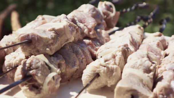 Ruwe Shish Kebab op een spies — Stockvideo