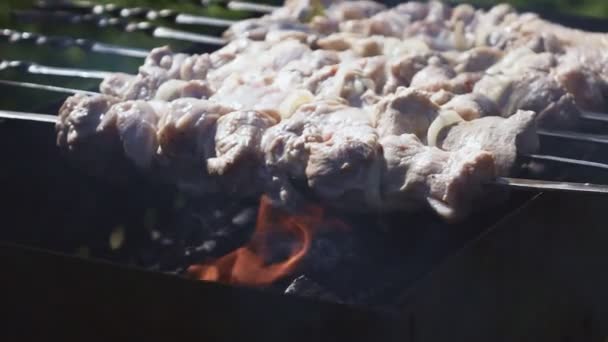 Fry Shish Kebab en el brasero — Vídeo de stock