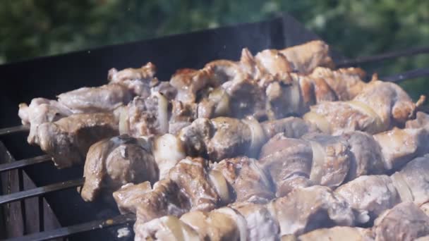 Cucinare Shish Kebab sul braciere — Video Stock